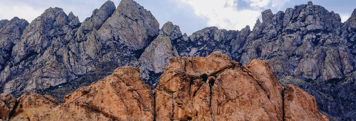 Elizabeth Abrams Art