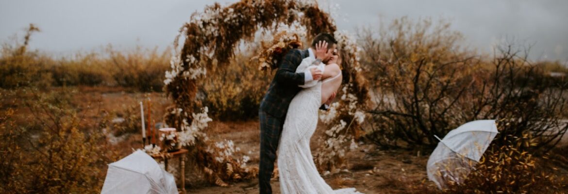 Abbey Elaine Photography Llc