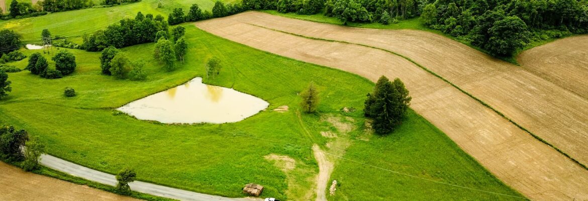 RedHawk Drone Solutions