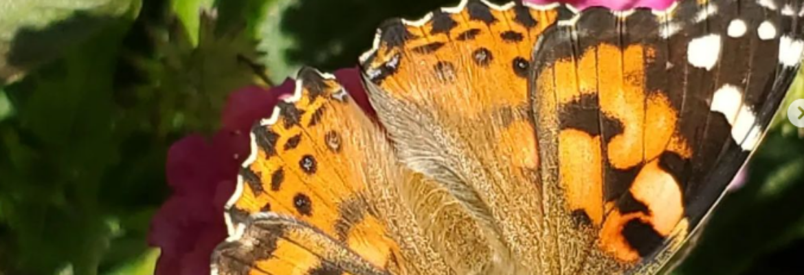 8-Tracks Photography