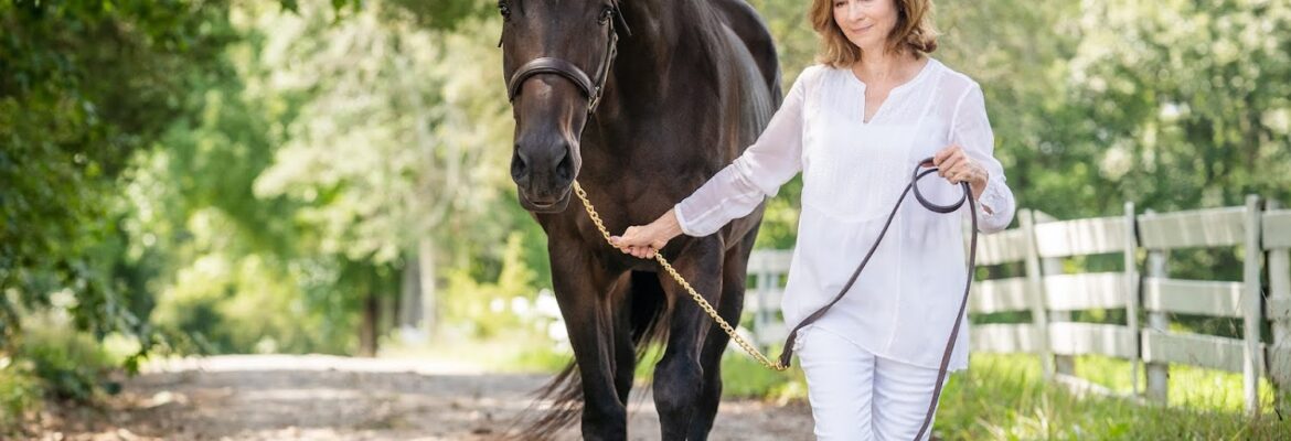 Beloved Pet & Equine Photography