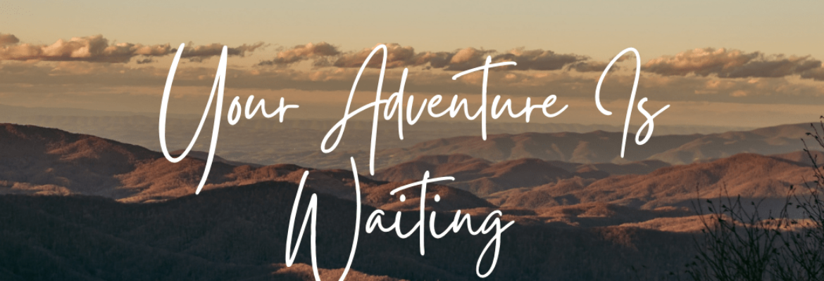 Creative State Of Mind Photography