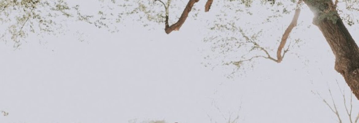 Cassie Scott Captures