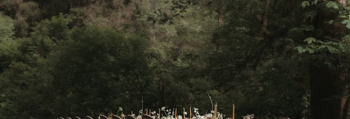 Stephane Leon Photography