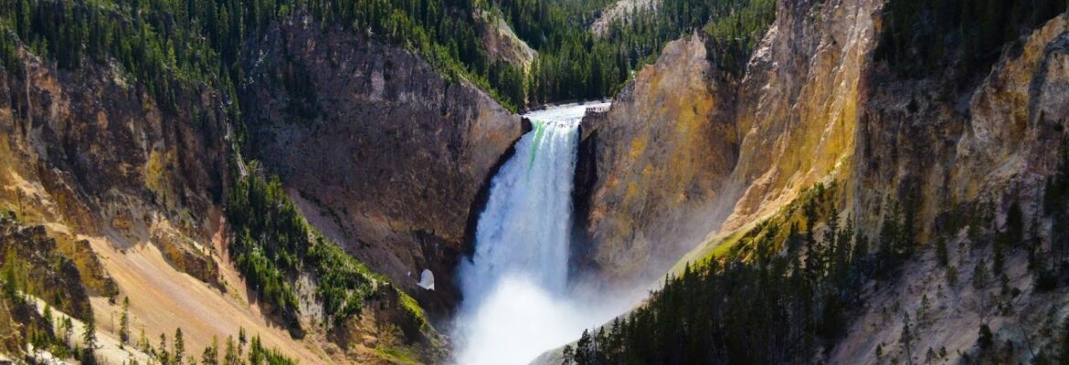 Bart Massey Photography