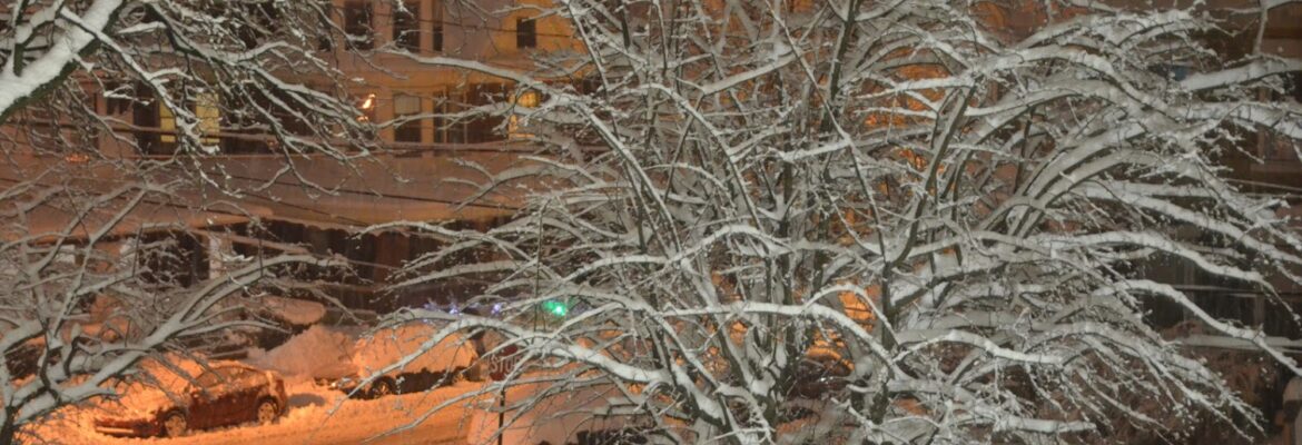 Lights-Out-Photography