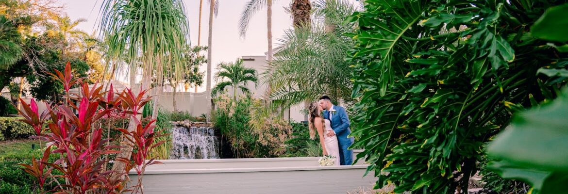 Nina Bashaw Photography