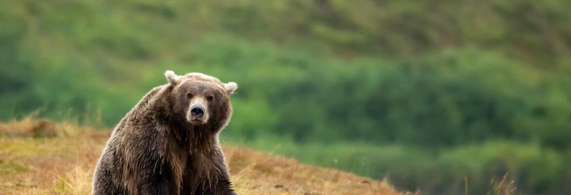 Northern Terrain Photography