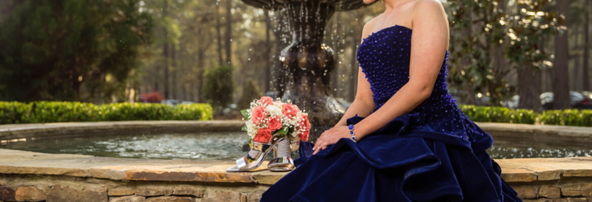 Betta Focus Photography