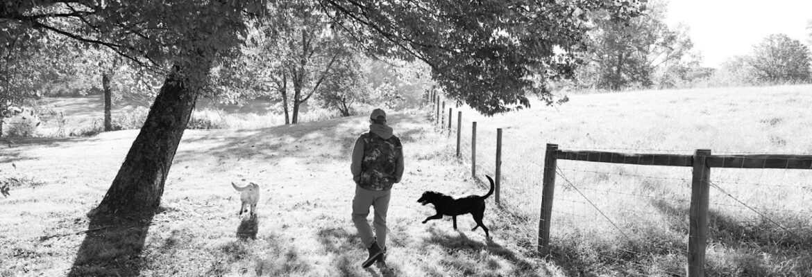 Christine Harper Photography