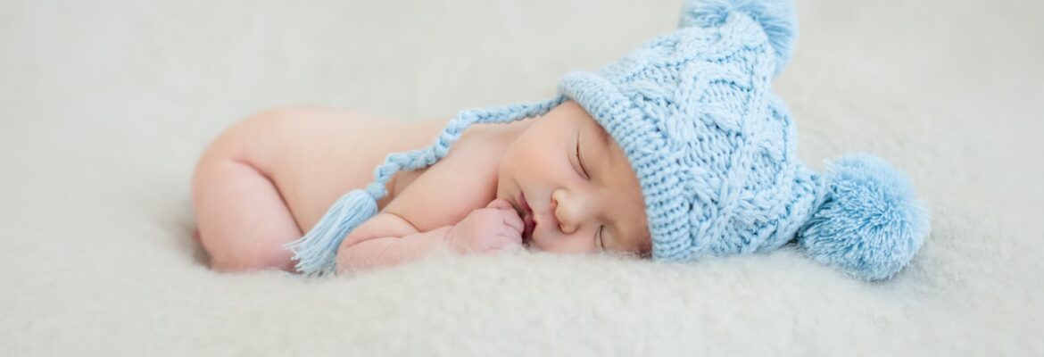Stephanie Dehler Photography