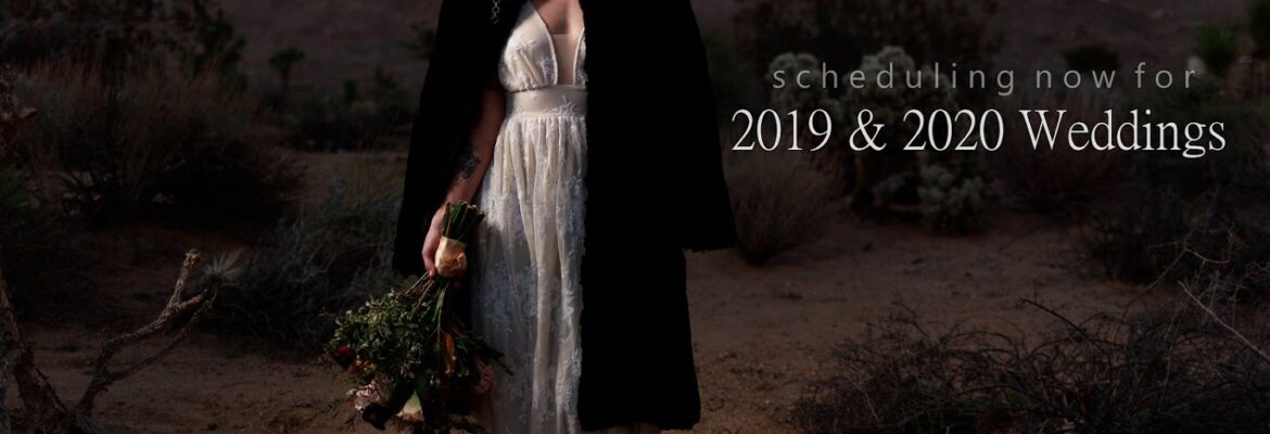 THE VISUAL ARTIST STUDIOS