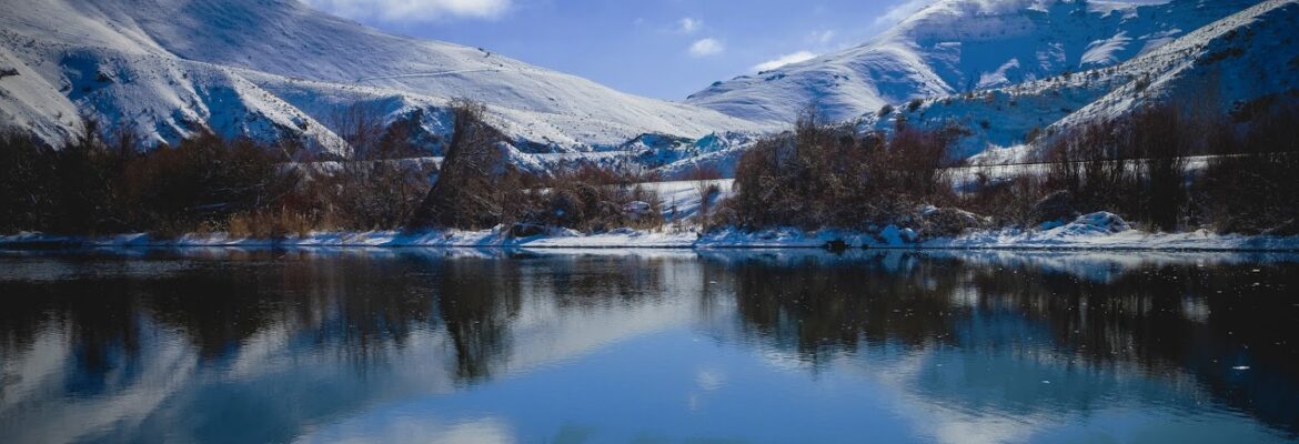 Vaughan Gilmore Photography