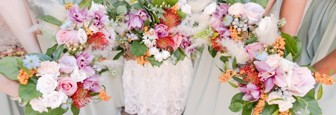 Caitlin Elizabeth Photography LLC