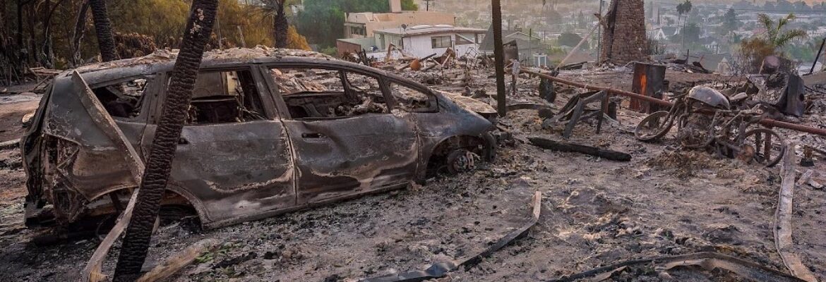 Brendan Daly Photography