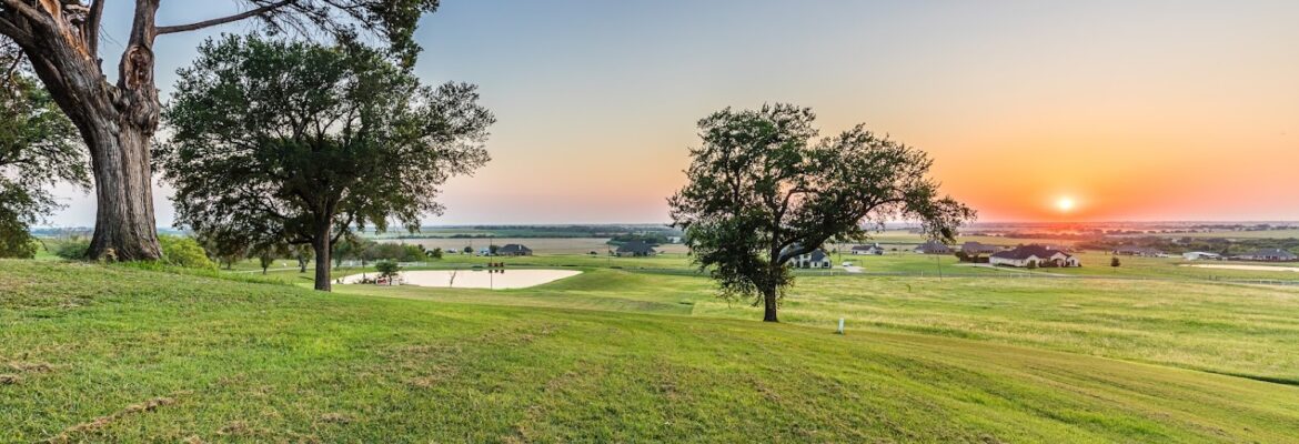 Rachel Neckar Photography