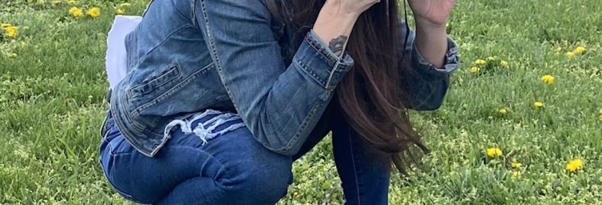 Bumblebee Photography