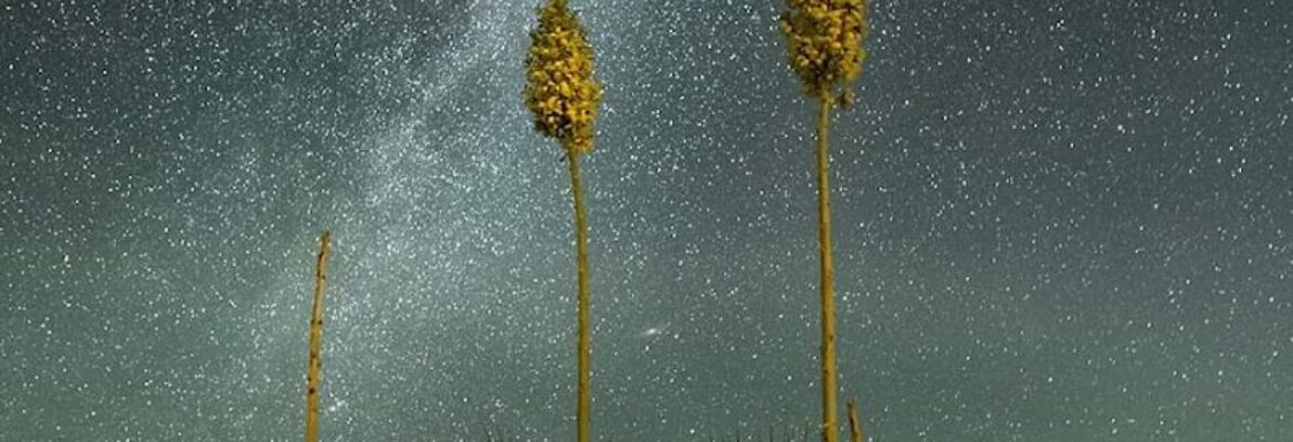 Pauly Kostora Photography