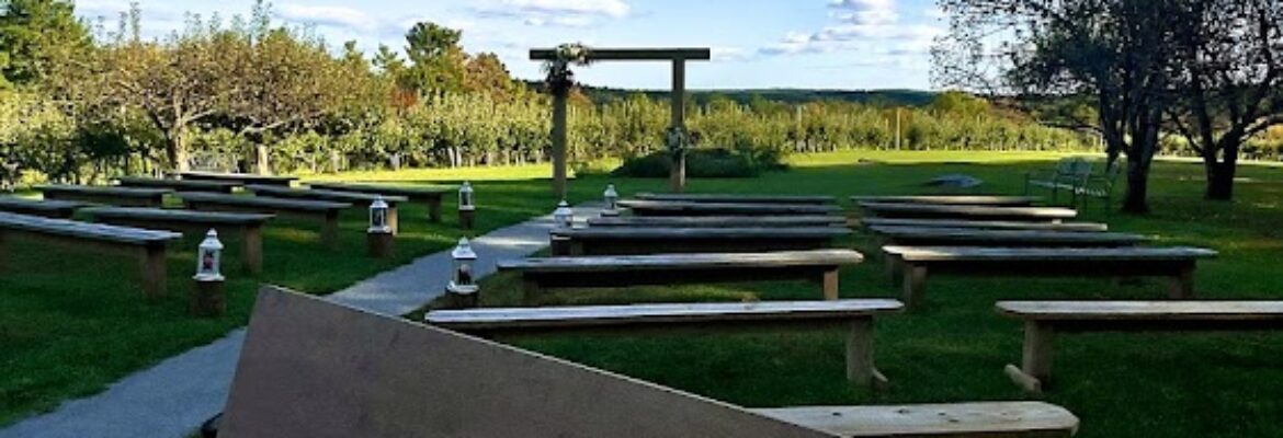 Diaz Digital Discoveries