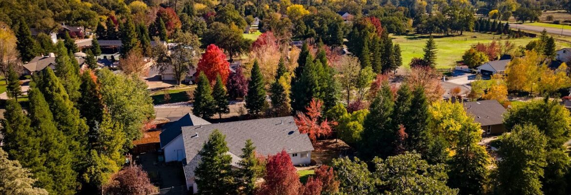 Ron Lute Photography