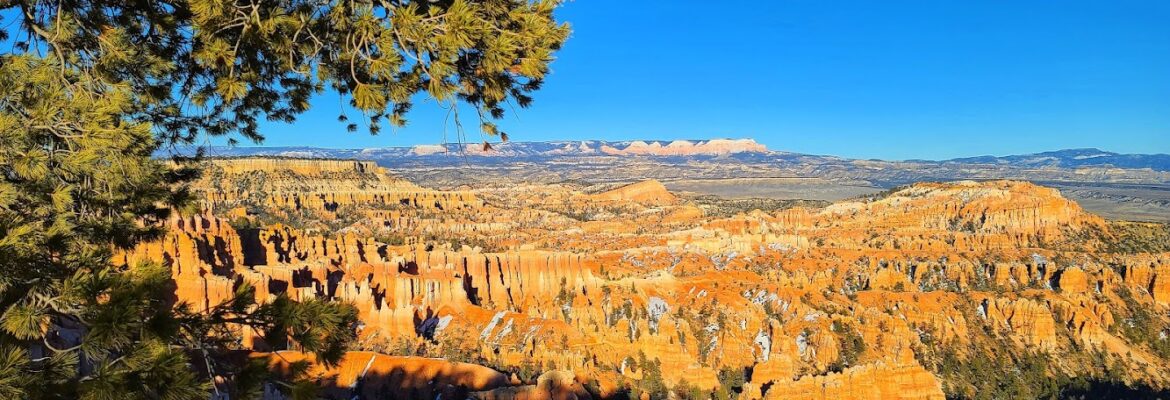 EyeSeeBeatuyPhotography