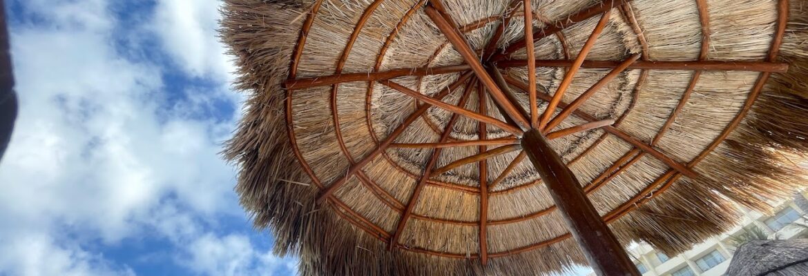 Diplo brand and services