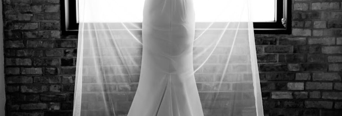 Dahlia Orchid Photography