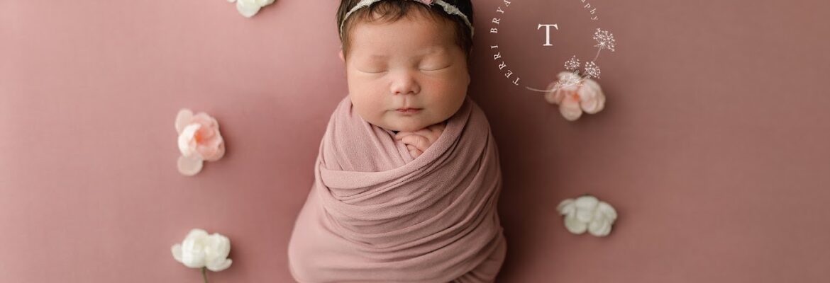 Terri Bryant Photography