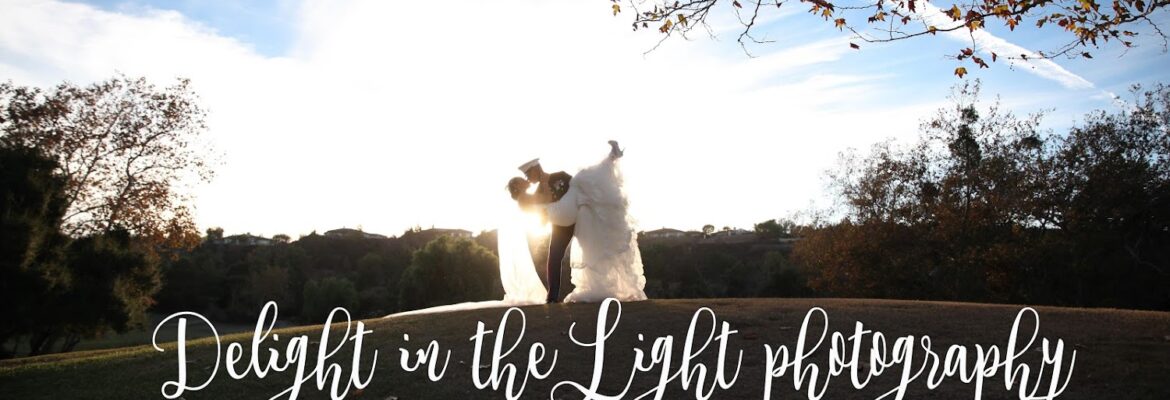Delight in the Light Photography