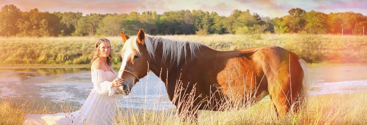 Brianna Hupp Photography