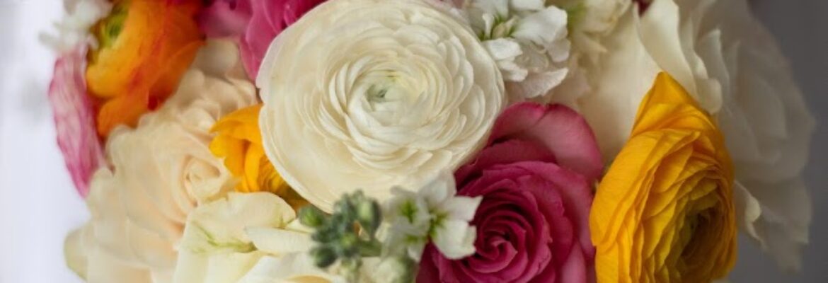 HannahTstudios Photography