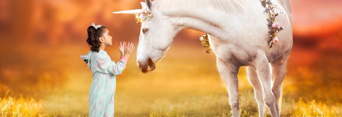 ALT Imagery Photo Studio