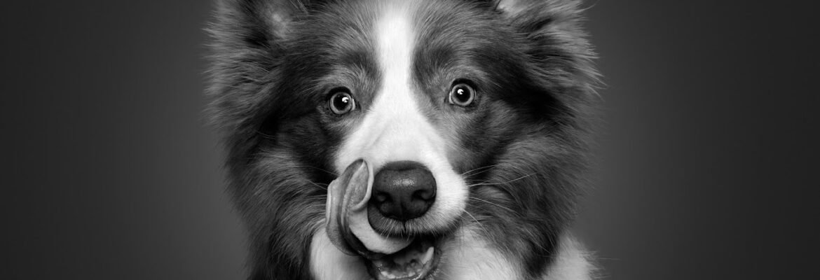 Lona Walburn | Retoucher