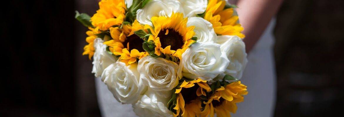Tiffany Abruzzo Photography