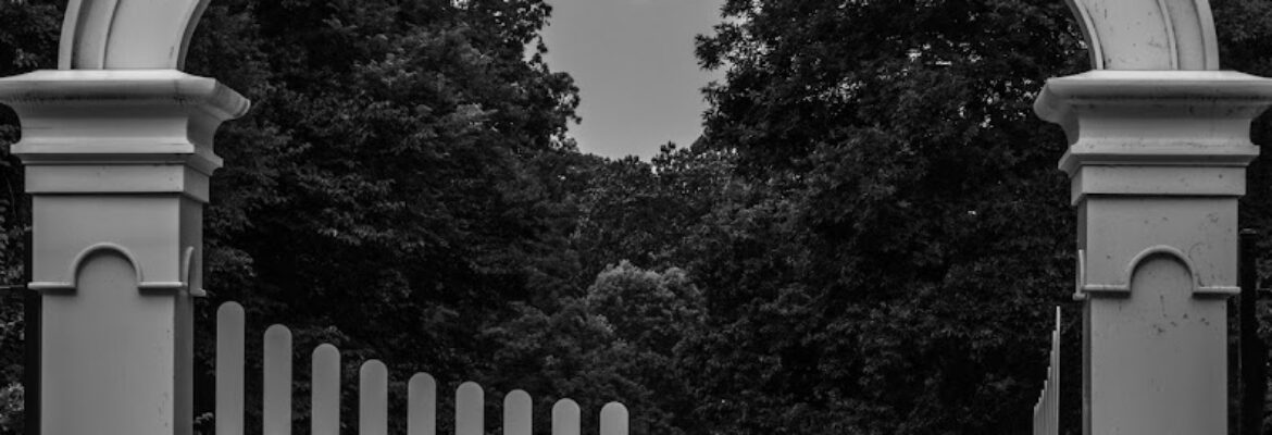 Steve Jacobs Photography