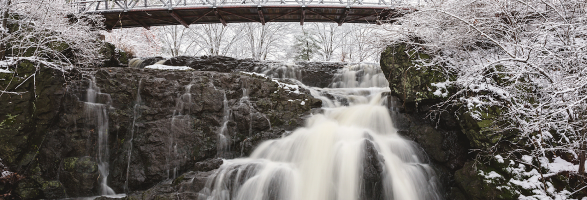The Flash Lady Photography