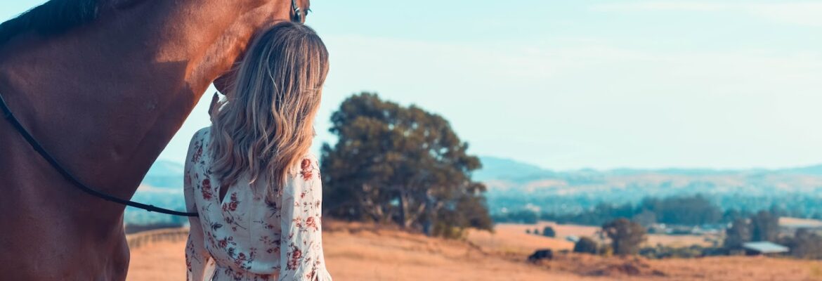 Mary Jean Murphy Photography