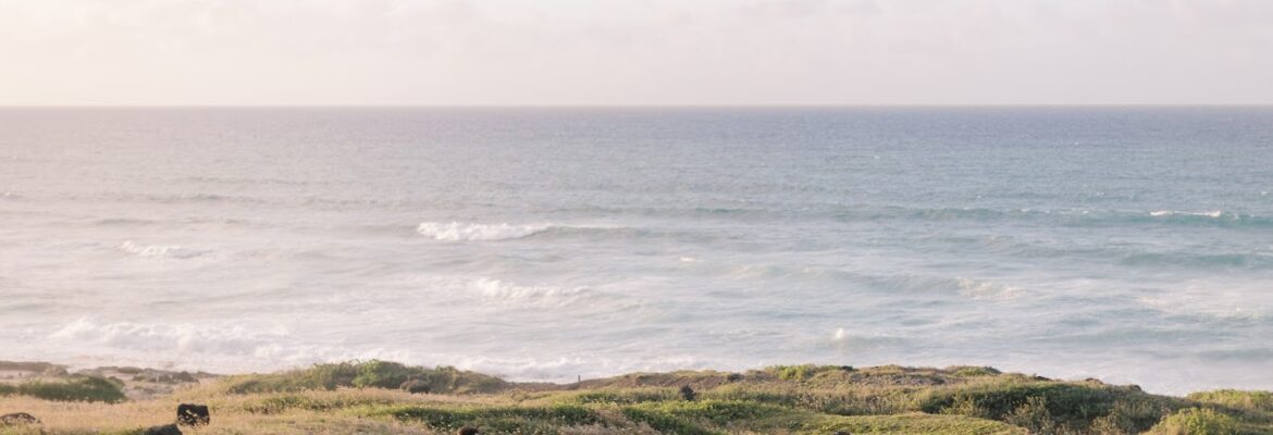 Hannah Constein Photography