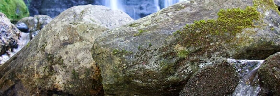 Leigh Visual Imaging Solutions