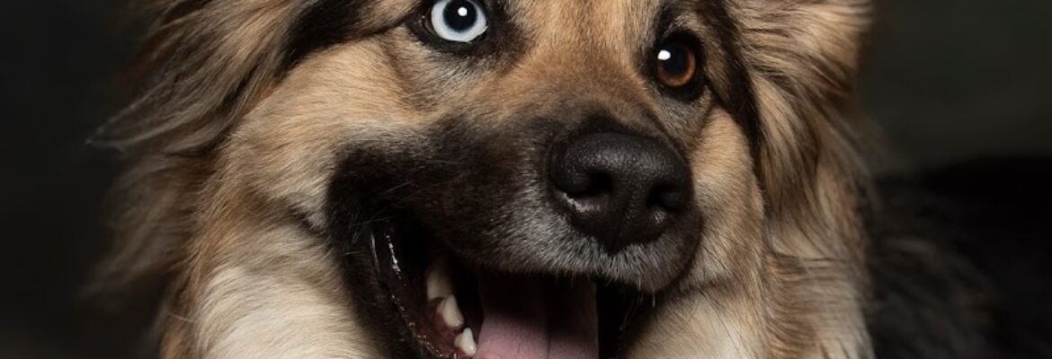 Sherri Oster Photography