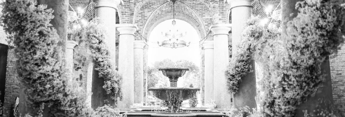 Nancy Pauline Photography