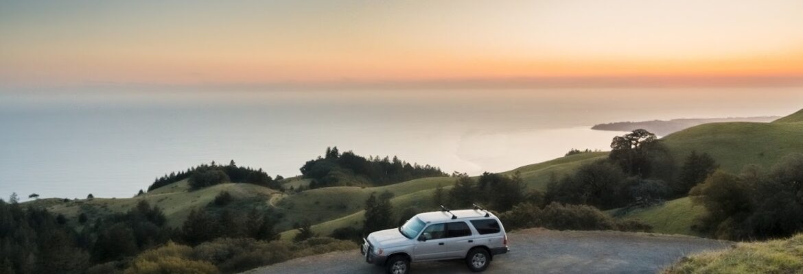 Elevated Media House