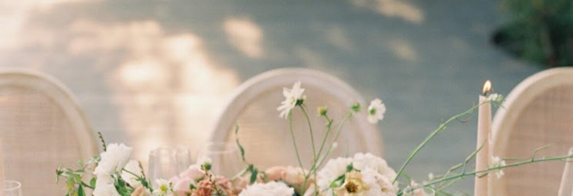 Liz Andolina Photography