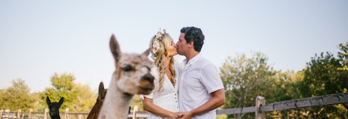 caryn noel photography