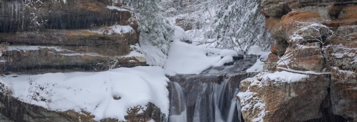 David Wallace Photography LLC