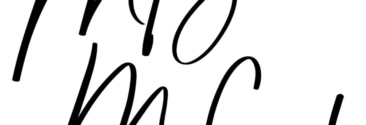 Megan Bonneau McCool Photography