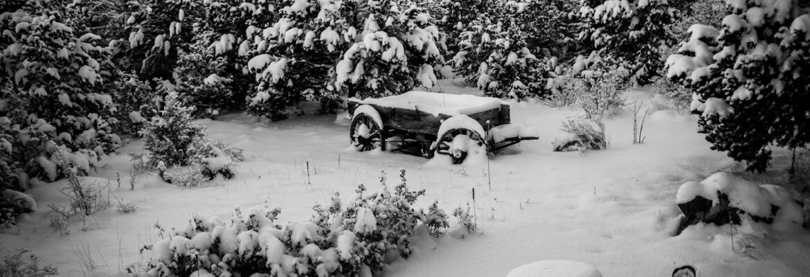 Corey Lopardi Photography