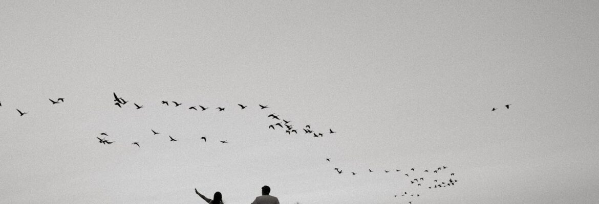 Sailor Breez Photo + Film