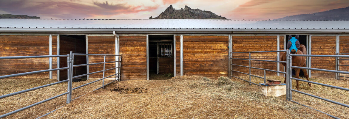 Monica McLaughlin Photography