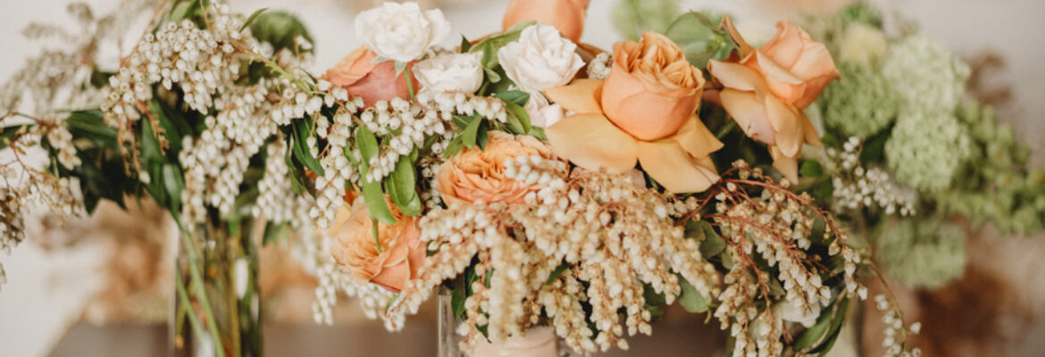 Kristina Rose Photography